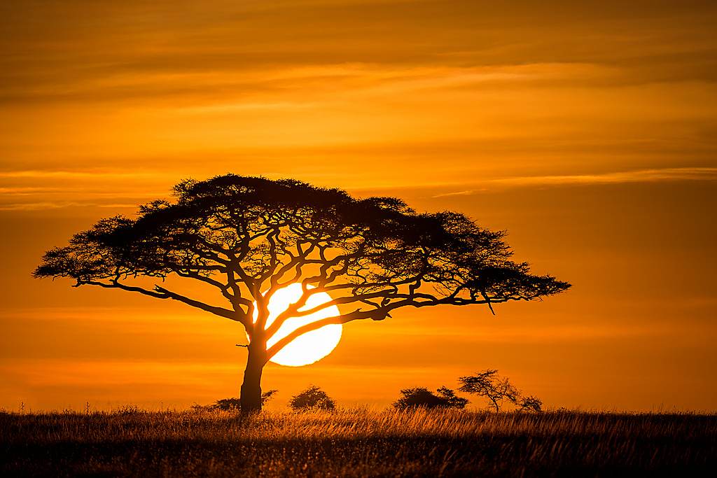 Sunset over the Serengeti