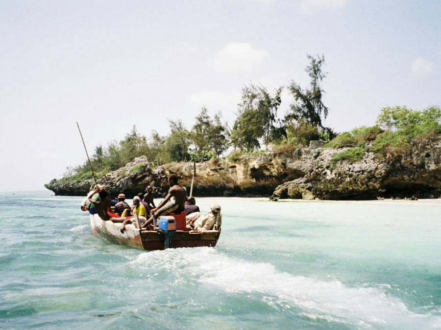 Mnemba snorkel